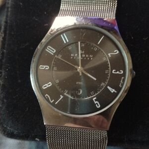 Skagen Denmark Gray Dial Silver Mesh Band Ionplated Watch